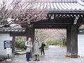 FOTO-RICORDO-KYOTO5
